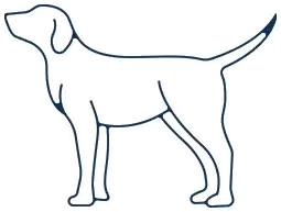 Dog illustration for A Routine Dental Cleaning